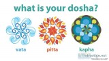 Body Dosha Test in Nagpur  Ayurveda Doshas - Parijatak