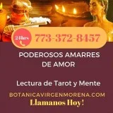 Amarres de amor sin Costo