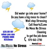 No Mess No Stress Cleaning