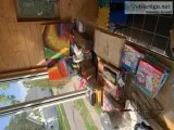 Rummage sale