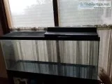 55 gallon aquarium