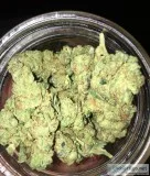 Dogwalker OG