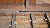 Electrician apprentice or experienced