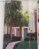 3 Bed Townhouse with furnished basement for Rent in Frederick MD