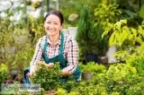 Best Lawn Care Gardener in Perth - Malaga Gardening and Mowing