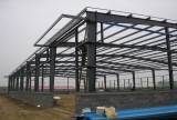 Shed Construction  Mushroom Growing Rooms