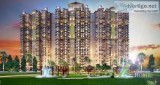 Ajnara Ambrosia 234 BHK  Rs 58.93  9911487788