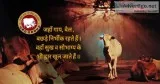 URGgo seva sansthan