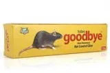 Rat Control Service