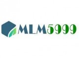 Any Type Of MLM Software At Just rs 5999- pa