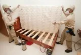 Bed bugs Control Service