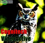 Forensic Video Processing Software