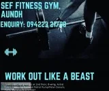 Best Gym in Aundh - Gym in Pune  Sef Fitness Gym Aundh Pune