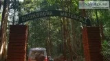 Enjoy the most wonderful trip at Dudhsagar waterfalls Goa