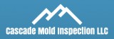 In Need of Mold Removal and Inspection in Mount Vernon
