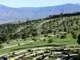 Two Cemetery Plots For Sale