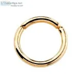 14K Gold Segment Ring 16G Cartilage Helix Daith Conch Tragus Ear