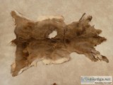 Two Tanned Deer pelts 55 for both
