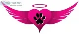 Home Euthanasia Service for pets