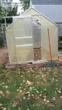 FREE TO GOOD HOME