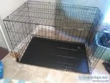 Large 2 door metal dog crate
