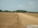 pappampatti - coimbatore - plot for sale