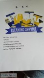 LSV Cleaning Service