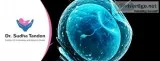 IVF Center in Mumbai  IVF Clinic in Navi Mumbai