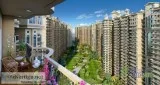Ajnara Ambrosia 2 BHK apartment  Rs 3995 PSF in Noida. phn num. 