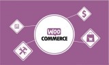 Best Woocommerce Development Services in Delhi