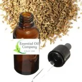 Top Essential Oil Manufacturer in India  Essentialoilcompany. in