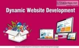 Dynamic Web Development Company