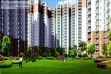 Buy Amazing  Apartments at Nirala Greeshire  29.9 Call 8750-988-