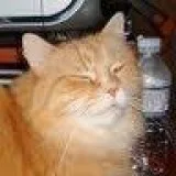 Roommate wanted NON SMOKER