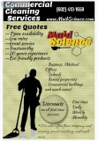 Commercial Cleaning Services