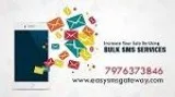 SMS Pricing  Affordable Bulk SMS Provider in Jaipur