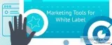 White Label Digital Marketing Company in Delhi - State Services