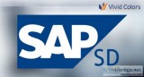 Looking for the best online SAP course in India