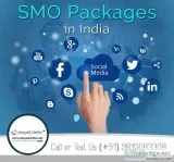Affordable SMO Packages in Delhi