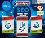 SEO services by professionals within budget