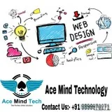 Website Development in Delhi Ncr
