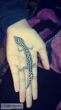 Snow Leopard Gecko