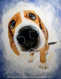 Folsom Studio 119 Paint Your Pet  Classic Style with Kimberly