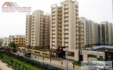 3BHK Apartment For Sale  in Tulip Orange Sector-70 Gurgaon