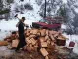 Firewood