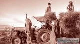 Get the global opportunities in the food and agriculture busines
