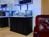 aquarium service servicio de pecera