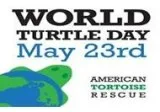 Leopard Tortoise