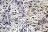 Industrial Paper Shredder Service
