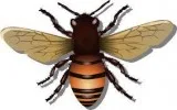 Royersford Pest Control Services